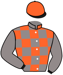 casaque portée par Boutin Hug. jockey du cheval de course BAD BOY, information pmu ZETURF casaque portée par Boutin Hug. jockey du cheval de course BAD BOY, information pmu ZETURF