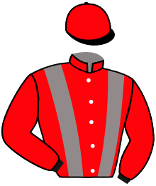 casaque portée par Pasquier S. jockey du cheval de course REMAMA, information pmu ZETURF casaque portée par Pasquier S. jockey du cheval de course REMAMA, information pmu ZETURF