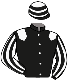 casaque portée par Lecoeuvre C. jockey du cheval de course HADYA, information pmu ZETURF casaque portée par Lecoeuvre C. jockey du cheval de course HADYA, information pmu ZETURF