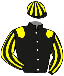 casaque portée par Charriaud S. jockey du cheval de course IF DE BRETAGNE, information pmu ZETURF casaque portée par Charriaud S. jockey du cheval de course IF DE BRETAGNE, information pmu ZETURF