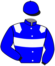 casaque portée par Pouvrasseau Dom. jockey du cheval de course HANSKA SAUTONNE, information pmu ZETURF casaque portée par Pouvrasseau Dom. jockey du cheval de course HANSKA SAUTONNE, information pmu ZETURF