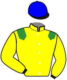 casaque portée par Duveau Max. jockey du cheval de course HEVA MALEX, information pmu ZETURF casaque portée par Duveau Max. jockey du cheval de course HEVA MALEX, information pmu ZETURF