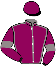 casaque portée par Journiac H. jockey du cheval de course BIBBIENA, information pmu ZETURF casaque portée par Journiac H. jockey du cheval de course BIBBIENA, information pmu ZETURF
