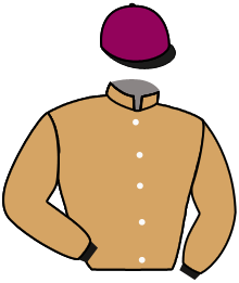 casaque portée par Trullier T. jockey du cheval de course TWILIGHT, information pmu ZETURF casaque portée par Trullier T. jockey du cheval de course TWILIGHT, information pmu ZETURF