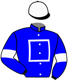 casaque portée par Crastus A. jockey du cheval de course TERANGA, information pmu ZETURF casaque portée par Crastus A. jockey du cheval de course TERANGA, information pmu ZETURF