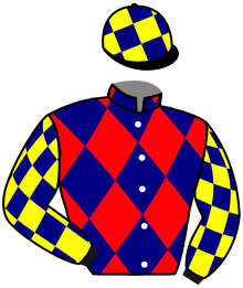 casaque portée par Grosbois Chr. jockey du cheval de course CALY ROSAY, information pmu ZETURF casaque portée par Grosbois Chr. jockey du cheval de course CALY ROSAY, information pmu ZETURF