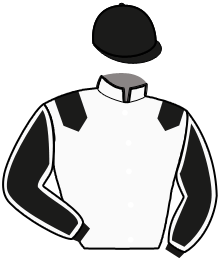 casaque portée par Locqueneux D. jockey du cheval de course MASK OFF, information pmu ZETURF casaque portée par Locqueneux D. jockey du cheval de course MASK OFF, information pmu ZETURF