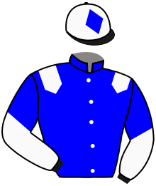 casaque portée par Valle Skar Mlle F. jockey du cheval de course KINGDOM, information pmu ZETURF casaque portée par Valle Skar Mlle F. jockey du cheval de course KINGDOM, information pmu ZETURF