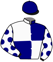 casaque portée par Boisseau L. jockey du cheval de course ASCOT IN, information pmu ZETURF casaque portée par Boisseau L. jockey du cheval de course ASCOT IN, information pmu ZETURF