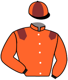 casaque portée par Crastus A. jockey du cheval de course BOGDANN, information pmu ZETURF casaque portée par Crastus A. jockey du cheval de course BOGDANN, information pmu ZETURF