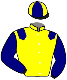 casaque portée par Frost Mlle B. jockey du cheval de course LADY ANGE WIN, information pmu ZETURF casaque portée par Frost Mlle B. jockey du cheval de course LADY ANGE WIN, information pmu ZETURF
