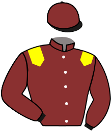 casaque portée par Zuliani A. jockey du cheval de course CLARKIA, information pmu ZETURF casaque portée par Zuliani A. jockey du cheval de course CLARKIA, information pmu ZETURF