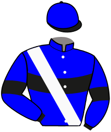 casaque portée par Delepine Y. jockey du cheval de course VALSE DU NORD, information pmu ZETURF casaque portée par Delepine Y. jockey du cheval de course VALSE DU NORD, information pmu ZETURF