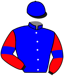casaque portée par Trolley De Prevaux G. jockey du cheval de course SHERKANE, information pmu ZETURF casaque portée par Trolley De Prevaux G. jockey du cheval de course SHERKANE, information pmu ZETURF