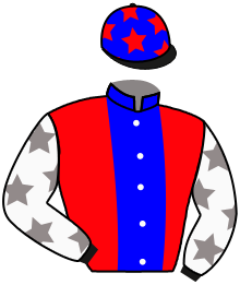 casaque portée par Lecuyer Mme Chl. jockey du cheval de course STEREDENN, information pmu ZETURF