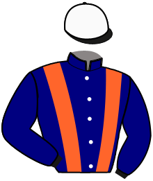casaque portée par Rochard B. jockey du cheval de course ORACLE TILE, information pmu ZETURF