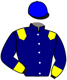 casaque portée par Wajersten Dan. jockey du cheval de course NIGHT ART, information pmu ZETURF casaque portée par Wajersten Dan. jockey du cheval de course NIGHT ART, information pmu ZETURF