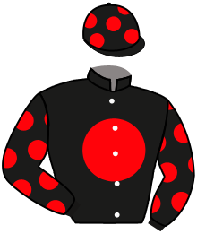 casaque portée par Gautron A. jockey du cheval de course YOU FOR ME, information pmu ZETURF casaque portée par Gautron A. jockey du cheval de course YOU FOR ME, information pmu ZETURF