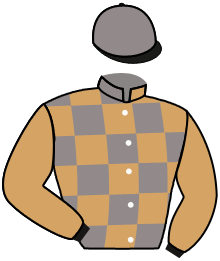 casaque portée par Poincot Chr. jockey du cheval de course RUE SURCOUF, information pmu ZETURF casaque portée par Poincot Chr. jockey du cheval de course RUE SURCOUF, information pmu ZETURF