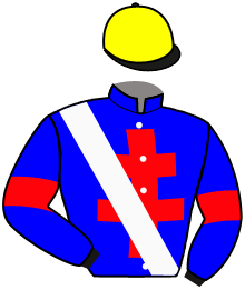 casaque portée par Gautron A. jockey du cheval de course ANATOLE, information pmu ZETURF casaque portée par Gautron A. jockey du cheval de course ANATOLE, information pmu ZETURF
