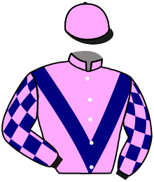 casaque portée par Lecomte D. jockey du cheval de course LOULOU BERE, information pmu ZETURF casaque portée par Lecomte D. jockey du cheval de course LOULOU BERE, information pmu ZETURF