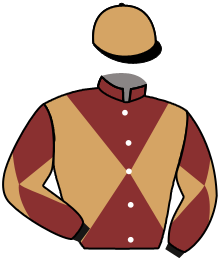 casaque portée par Champier G. jockey du cheval de course BATTLE CONNEXION, information pmu ZETURF casaque portée par Champier G. jockey du cheval de course BATTLE CONNEXION, information pmu ZETURF