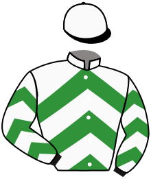 casaque portée par Marie Benj. jockey du cheval de course GARD FOREST, information pmu ZETURF casaque portée par Marie Benj. jockey du cheval de course GARD FOREST, information pmu ZETURF
