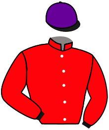 casaque portée par Journiac H. jockey du cheval de course ENTRE NOUS, information pmu ZETURF casaque portée par Journiac H. jockey du cheval de course ENTRE NOUS, information pmu ZETURF