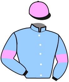 casaque portée par Hardy S. jockey du cheval de course ISCO DU MONCEL, information pmu ZETURF casaque portée par Hardy S. jockey du cheval de course ISCO DU MONCEL, information pmu ZETURF