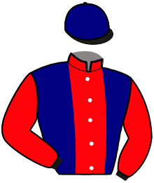 casaque portée par Saliot Y. jockey du cheval de course GRAND VENT RUSH, information pmu ZETURF casaque portée par Saliot Y. jockey du cheval de course GRAND VENT RUSH, information pmu ZETURF