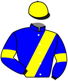 casaque portée par Leroulley J. jockey du cheval de course KALINE DAME, information pmu ZETURF casaque portée par Leroulley J. jockey du cheval de course KALINE DAME, information pmu ZETURF