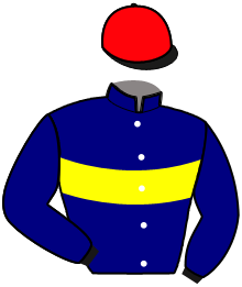 casaque portée par Hallais J. C. jockey du cheval de course LOYAL, information pmu ZETURF casaque portée par Hallais J. C. jockey du cheval de course LOYAL, information pmu ZETURF