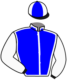 casaque portée par Zuliani A. jockey du cheval de course PETIT DUC SIBEY, information pmu ZETURF casaque portée par Zuliani A. jockey du cheval de course PETIT DUC SIBEY, information pmu ZETURF