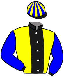 casaque portée par Ruiz Gonzalez A. jockey du cheval de course HENDERO, information pmu ZETURF casaque portée par Ruiz Gonzalez A. jockey du cheval de course HENDERO, information pmu ZETURF