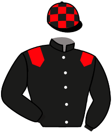 casaque portée par Chailloleau M. jockey du cheval de course MINA TANENBAUM, information pmu ZETURF casaque portée par Chailloleau M. jockey du cheval de course MINA TANENBAUM, information pmu ZETURF
