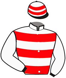 casaque portée par Lagadeuc F. jockey du cheval de course HIDE AND SEEK, information pmu ZETURF casaque portée par Lagadeuc F. jockey du cheval de course HIDE AND SEEK, information pmu ZETURF