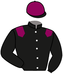 casaque portée par Thomas Dam. jockey du cheval de course AIMANT, information pmu ZETURF