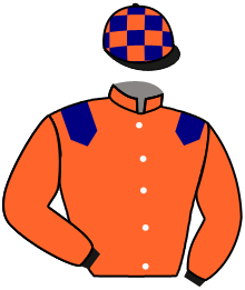 casaque portée par Servier Tom jockey du cheval de course LADY CIERGUES, information pmu ZETURF casaque portée par Servier Tom jockey du cheval de course LADY CIERGUES, information pmu ZETURF