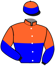 casaque portée par Raffin E. jockey du cheval de course DADA DEL RONCO, information pmu ZETURF