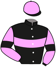 casaque portée par Ploquin Pau. Ph. jockey du cheval de course JIMANY, information pmu ZETURF