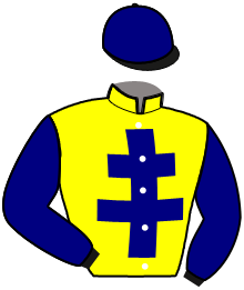 casaque portée par Rochard B. jockey du cheval de course HAND DES ELIES, information pmu ZETURF casaque portée par Rochard B. jockey du cheval de course HAND DES ELIES, information pmu ZETURF