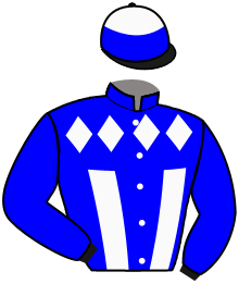 casaque portée par Heslouin Cha. jockey du cheval de course LUPIN DE BEAUFOUR, information pmu ZETURF casaque portée par Heslouin Cha. jockey du cheval de course LUPIN DE BEAUFOUR, information pmu ZETURF