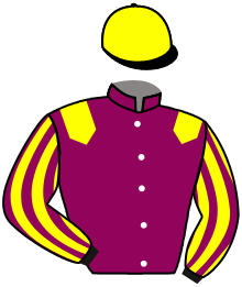 casaque portée par Morin V. jockey du cheval de course STYLE DE BATHY, information pmu ZETURF