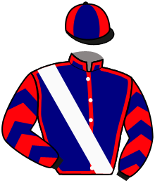 casaque portée par David Rodriguez jockey du cheval de course CLARUSFONTANEL, information pmu ZETURF