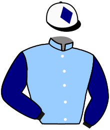 casaque portée par Lestrade B. jockey du cheval de course MARCHE, information pmu ZETURF casaque portée par Lestrade B. jockey du cheval de course MARCHE, information pmu ZETURF