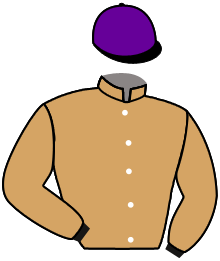 casaque portée par Defontaine Q. jockey du cheval de course NICAR DEL AVIGNON, information pmu ZETURF