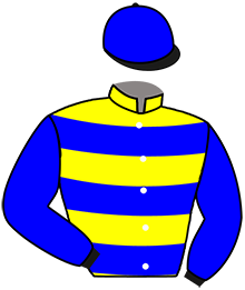 casaque portée par Abrivard M. jockey du cheval de course LOLA DE GUERINIERE, information pmu ZETURF