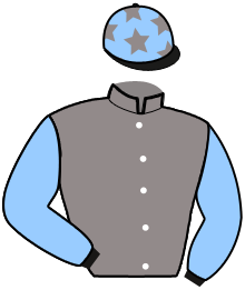 casaque portée par Potier Mat. jockey du cheval de course GRACIOSA TEJY, information pmu ZETURF casaque portée par Potier Mat. jockey du cheval de course GRACIOSA TEJY, information pmu ZETURF
