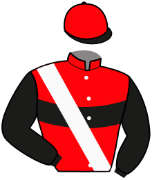 casaque portée par Breux D. jockey du cheval de course NIGHT OF THE OPERA, information pmu ZETURF casaque portée par Breux D. jockey du cheval de course NIGHT OF THE OPERA, information pmu ZETURF