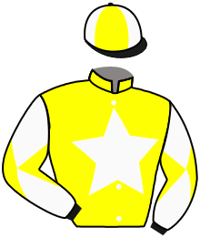 casaque portée par Boutin Hug. jockey du cheval de course LOLA MONTES, information pmu ZETURF